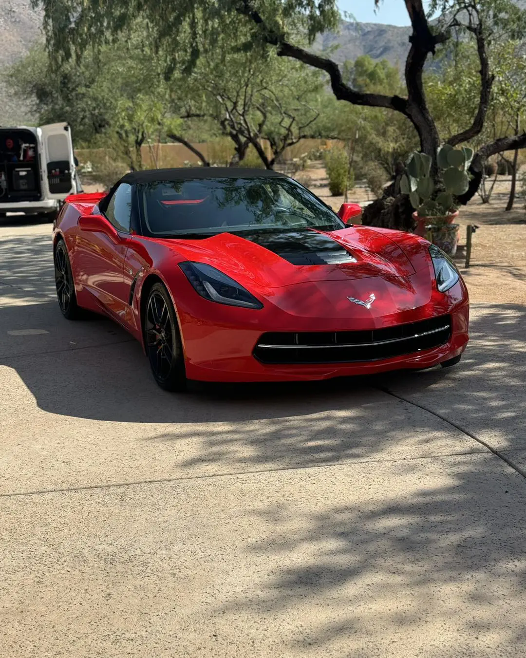 Professional Mobile Detailing