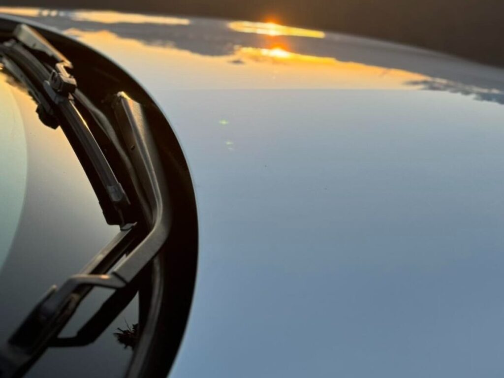 what is paint correction