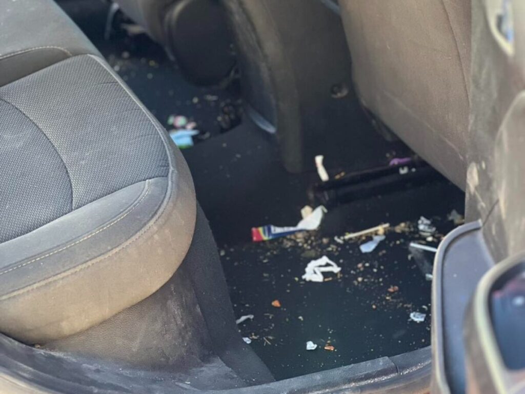 mobile detailing