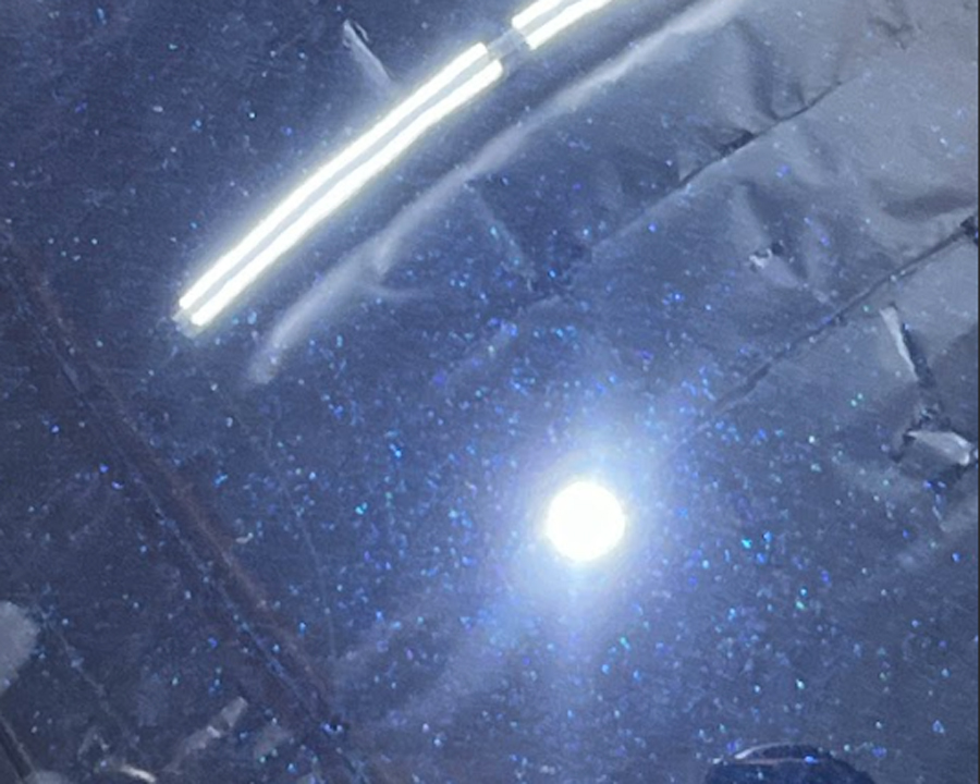 Identifying Sun Damaged Paint