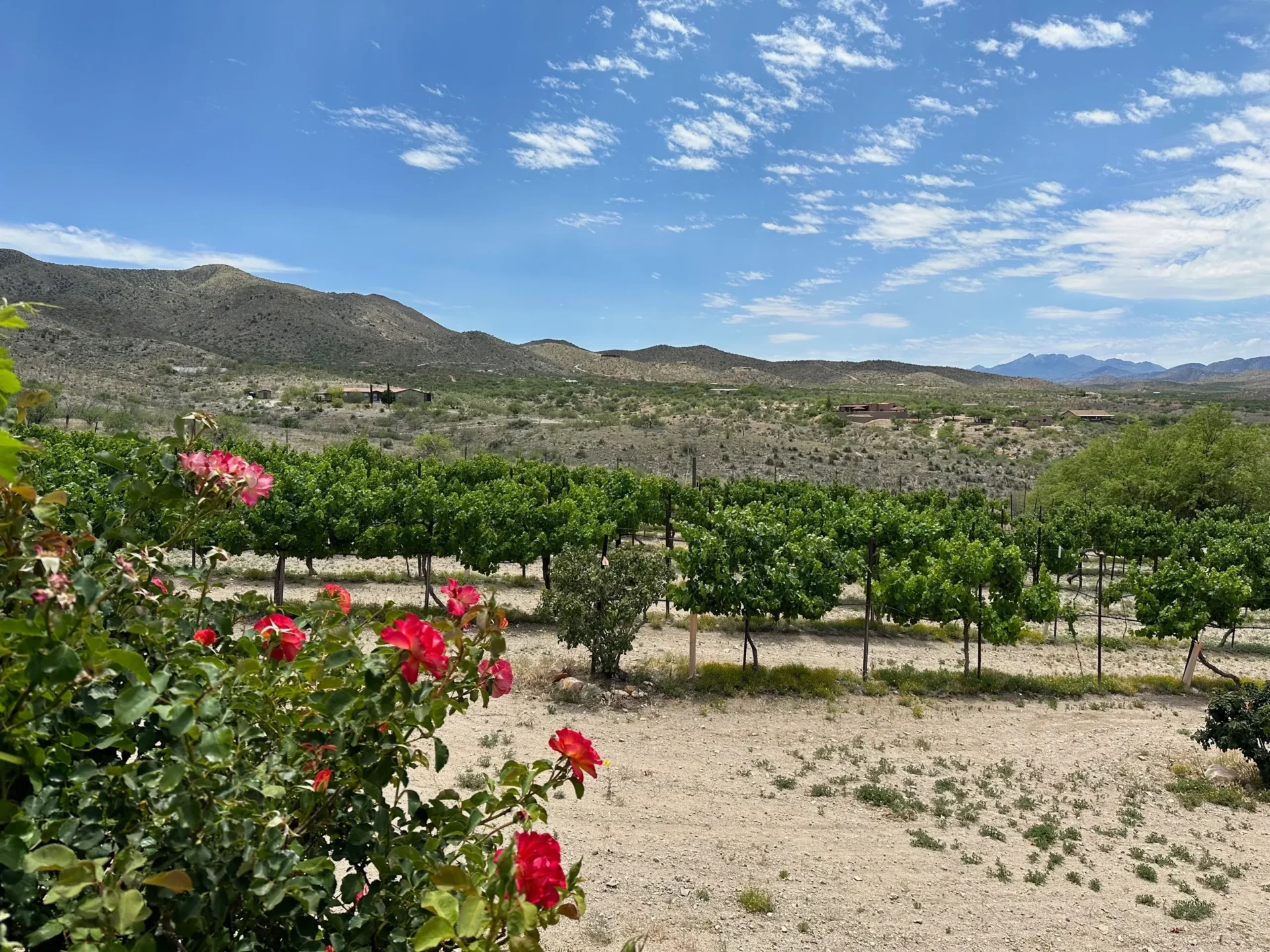 Mobile Detailing Vail AZ