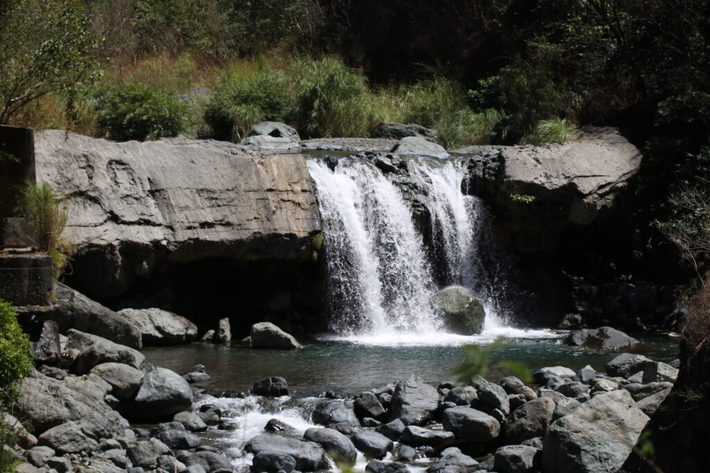 Mobile Detailing Marana AZ